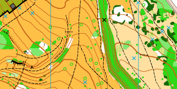 Löwygrube Wien, Orientierungslaufkarte